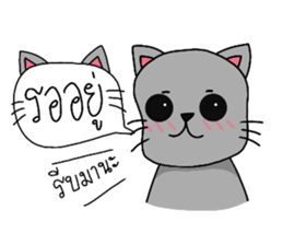 178454492