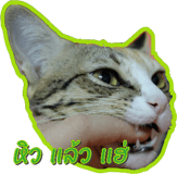 17845669