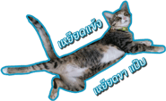 17845672