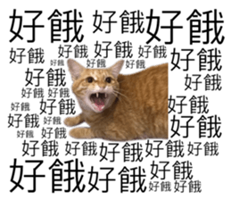 178464085