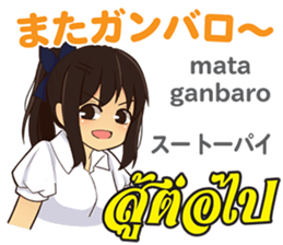 17854497