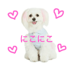 17876569