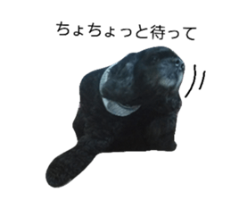 17879124