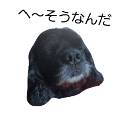 17879125
