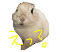 17882525