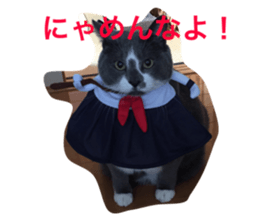 17882674