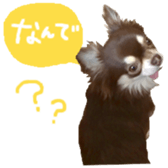 178899987