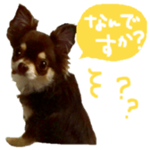 178899991