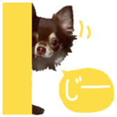 178899996