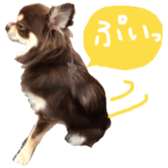 178900002