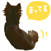 178900004