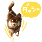 178900005
