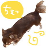 178900006