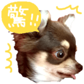 178900008