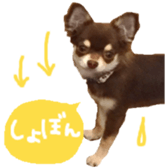 178900009