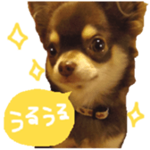 178900010