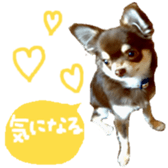 178900011