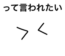 17904916