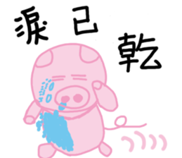 17905049