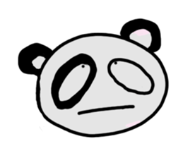 17905064
