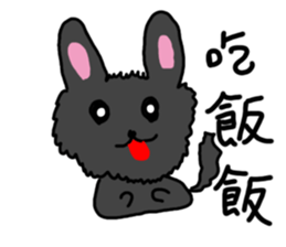 17905070
