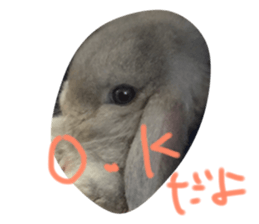 17905921