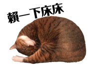 179105662
