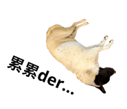 179105664