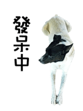 179105665