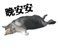 179105667