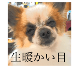 179142081