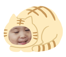 179164185