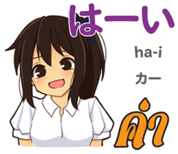 17916508