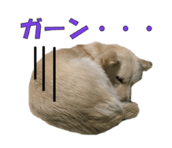 17922039