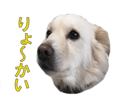 17922040