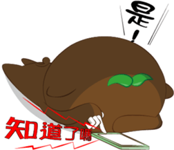 179262428