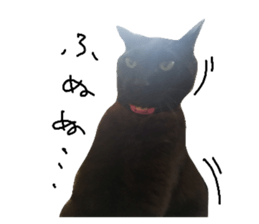 17940501
