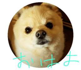 179506463
