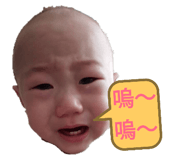 179510587