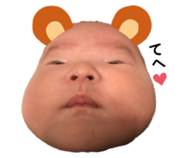 179557517