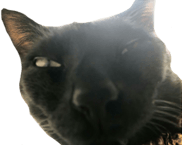 179573909