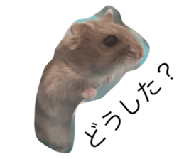 17968765