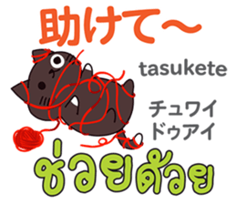 17981212