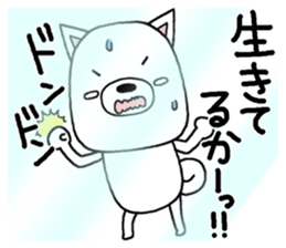 17991775