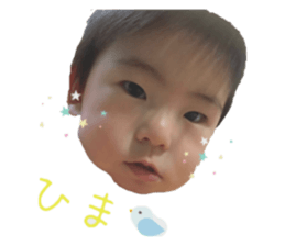 17995518