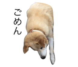 18000702