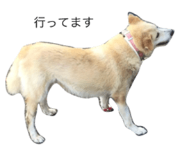 18000705