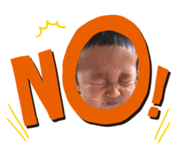 180020695