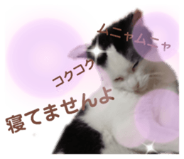 180089958