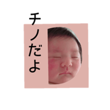 18022375